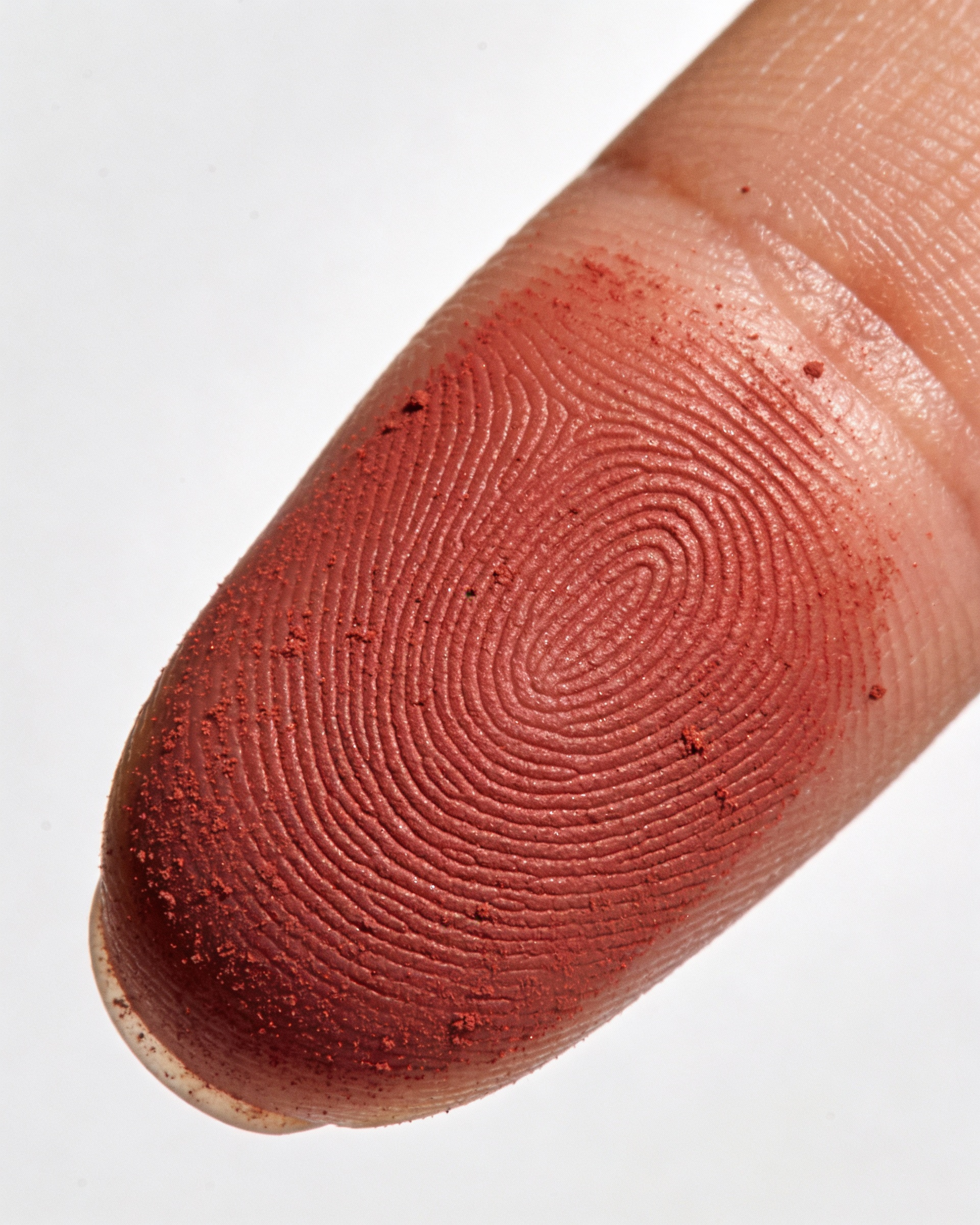 Fingerprint Close Up