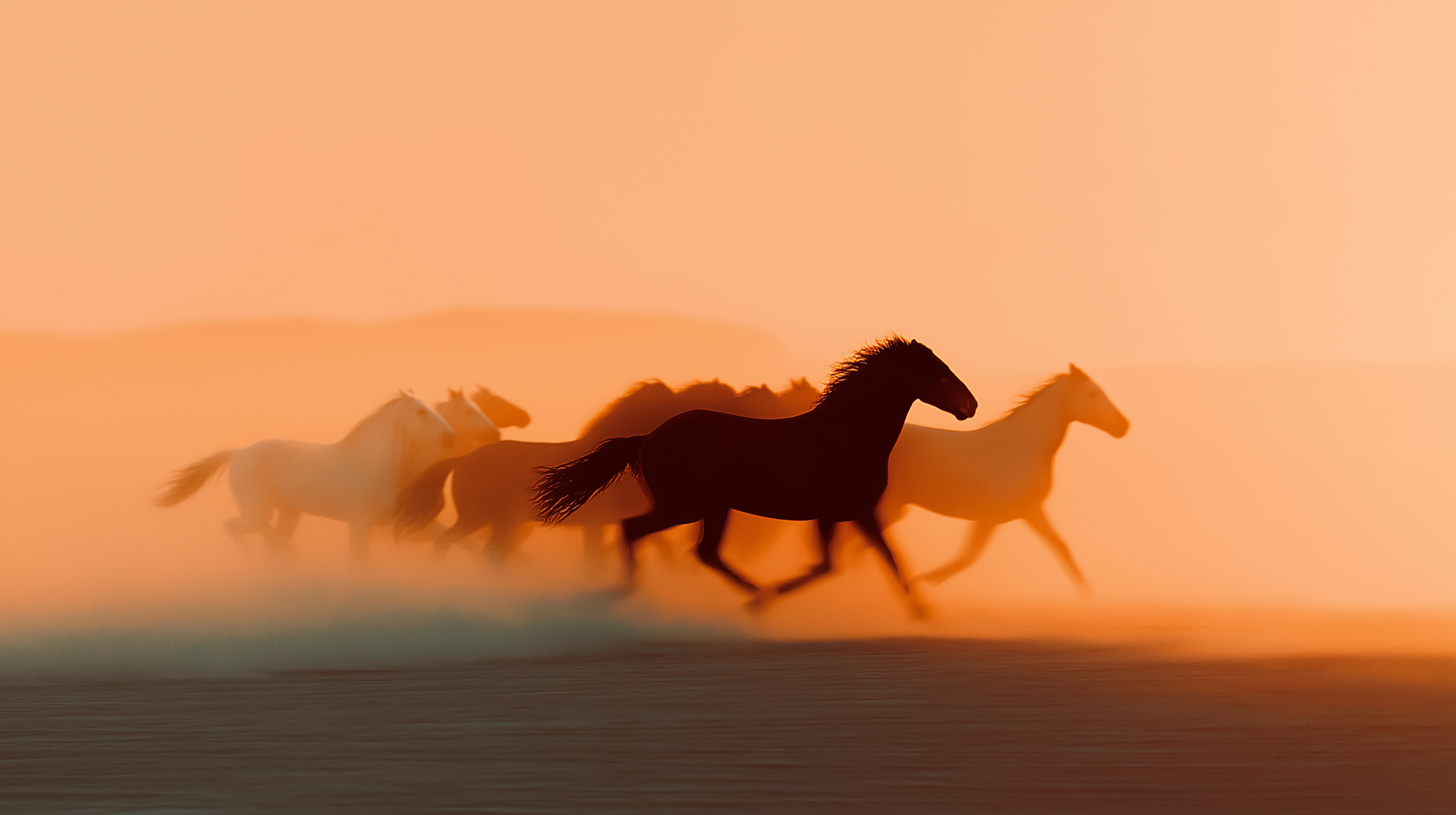Galloping Horses at Sunset