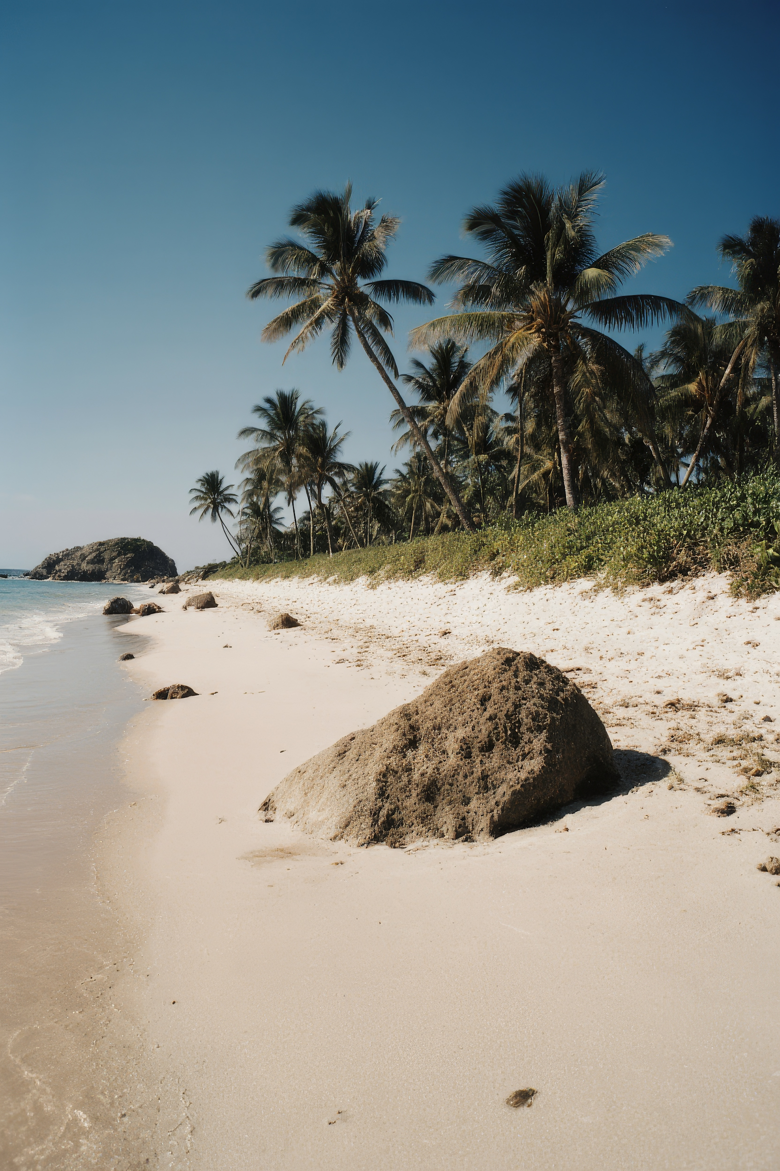 Tropical Beach Serenity